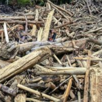 12 Perusahaan Penyebab Bencana Sumatra Akan Dicabut Izin-Proses Pidana