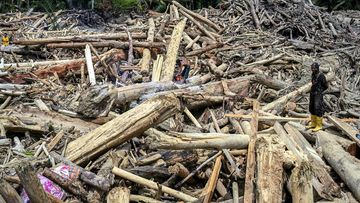 12 Perusahaan Penyebab Bencana Sumatra Akan Dicabut Izin-Proses Pidana