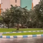 Belasan Kendaraan di Bandara Juanda Rusak Akibat Puting Beliung