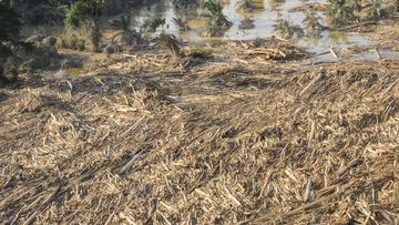 Banjir Kayu Gelondongan Kembali Terjang Bener Meriah Aceh, Warga Panik