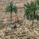 Bareskrim Mulai Usut Kasus Kayu Gelondongan Penyebab Banjir di Aceh